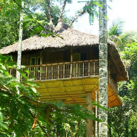 Kalidasa Tree House And Villa, Wayanad Chegāt Buitenkant foto