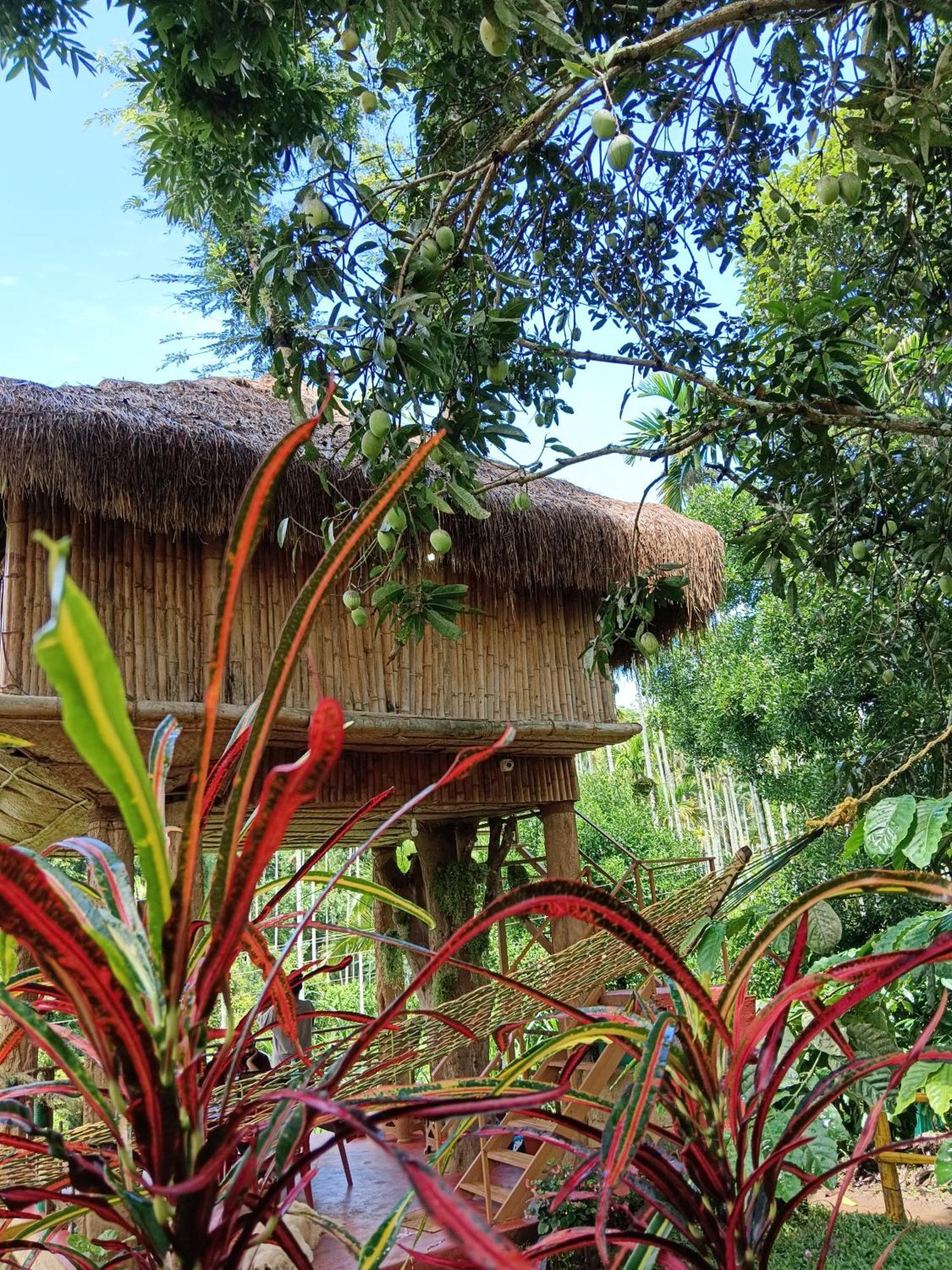 Kalidasa Tree House And Villa, Wayanad Chegāt Buitenkant foto