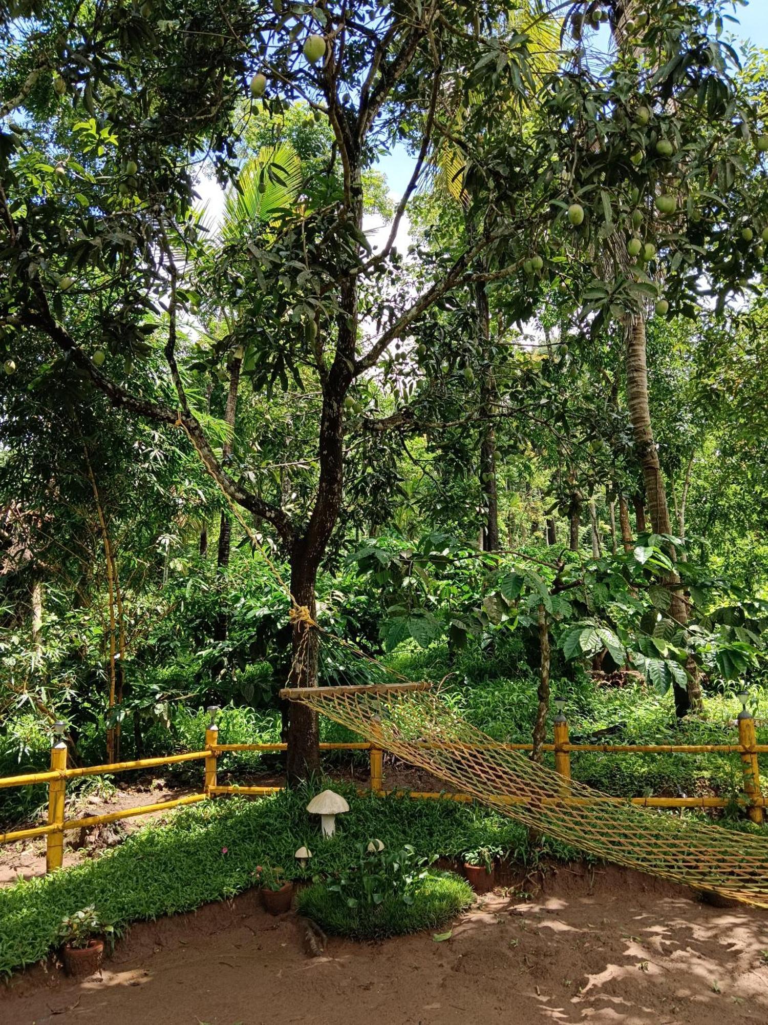Kalidasa Tree House And Villa, Wayanad Chegāt Buitenkant foto