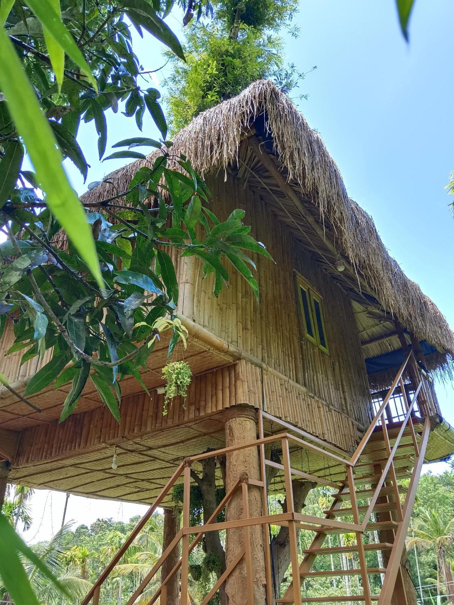 Kalidasa Tree House And Villa, Wayanad Chegāt Kamer foto