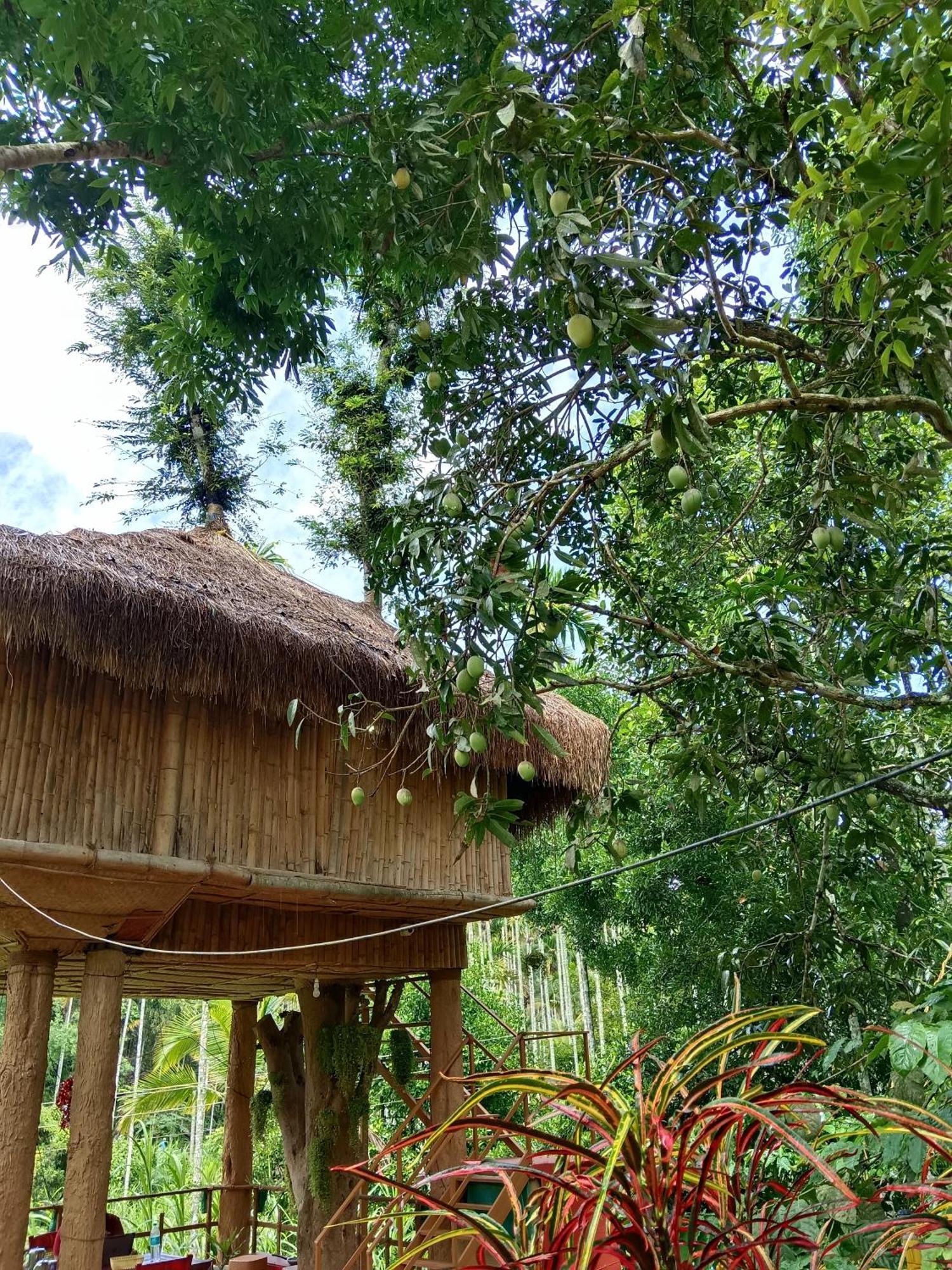Kalidasa Tree House And Villa, Wayanad Chegāt Kamer foto