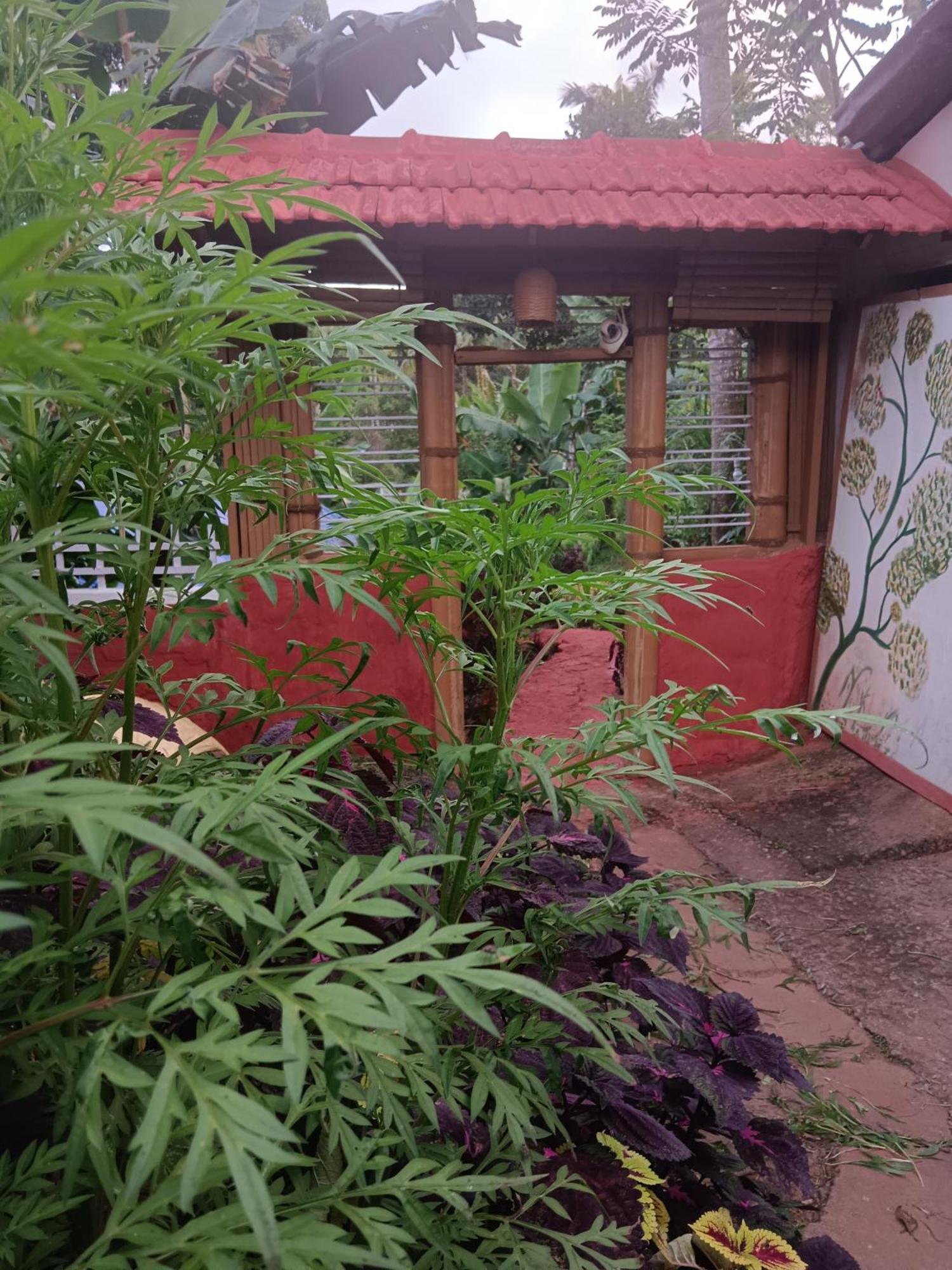 Kalidasa Tree House And Villa, Wayanad Chegāt Buitenkant foto