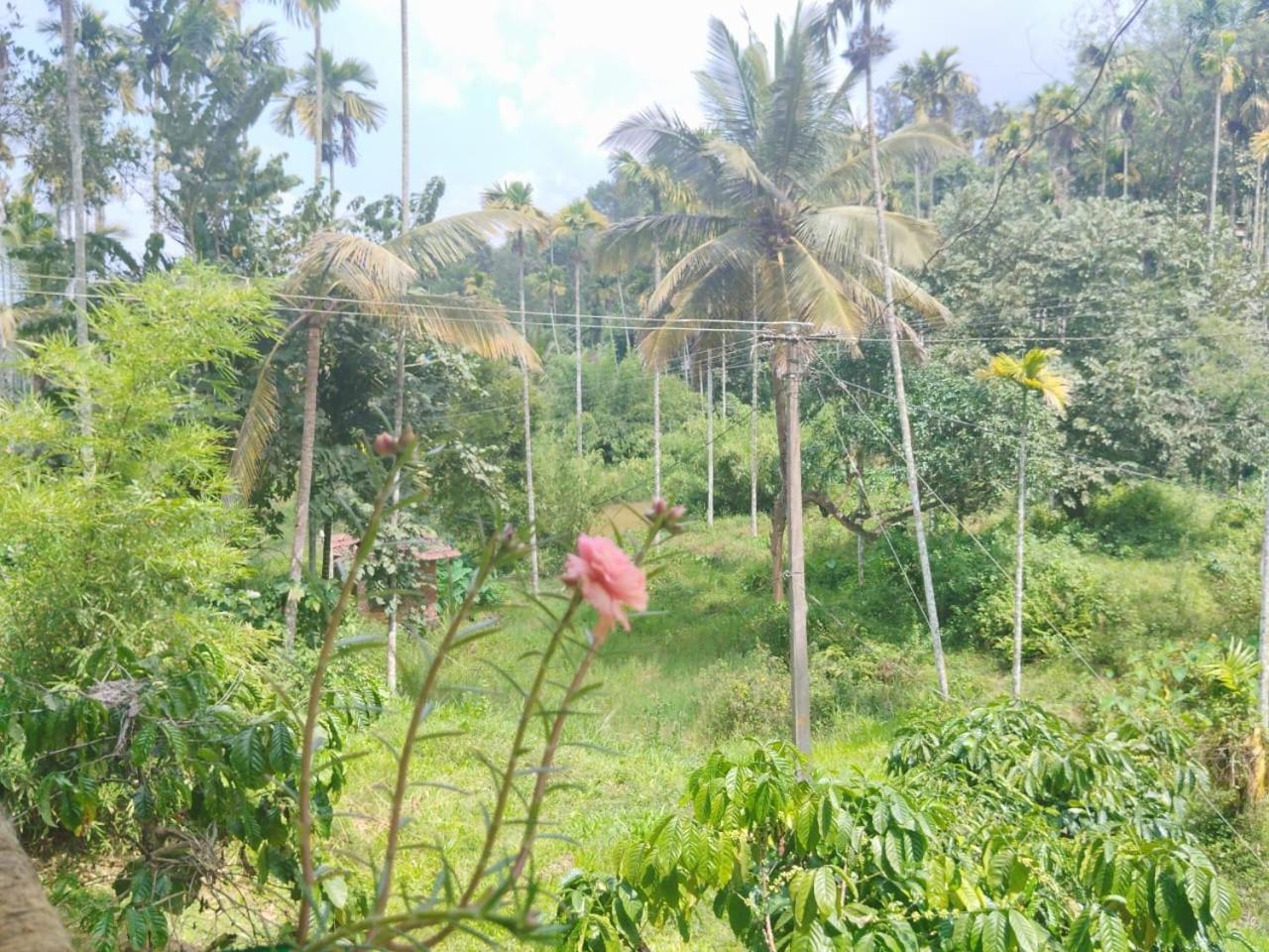 Kalidasa Tree House And Villa, Wayanad Chegāt Buitenkant foto